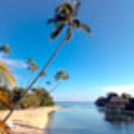 VIP Bar & Restaurant